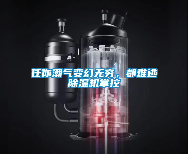 任你潮氣變幻無(wú)窮，都難逃除濕機(jī)掌控