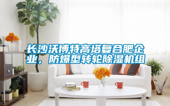 長沙沃博特高塔復合肥企業，防爆型轉輪除濕機組