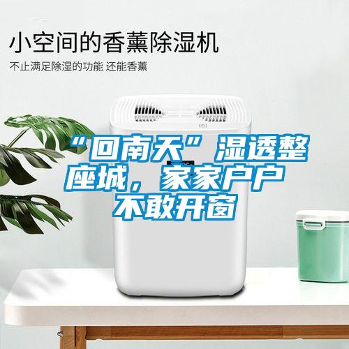 “回南天”濕透整座城，家家戶戶不敢開窗