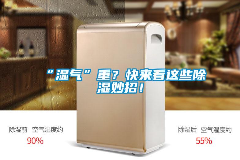 “濕氣”重？快來看這些除濕妙招！