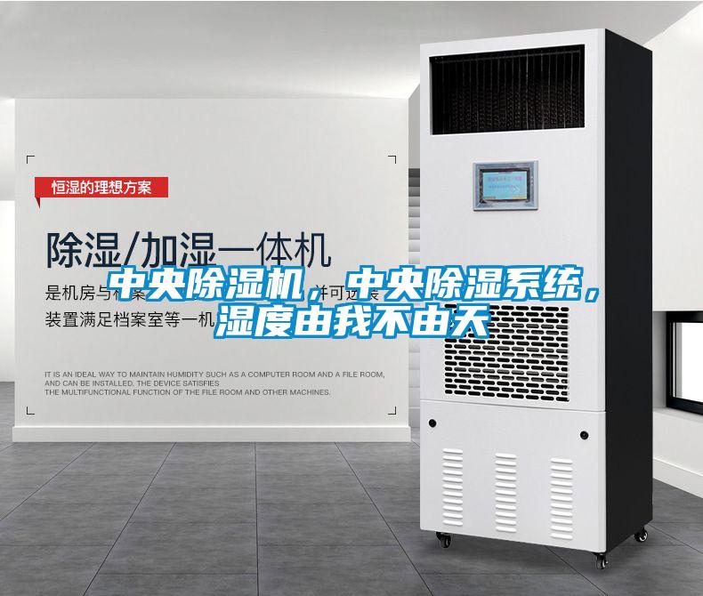 中央除濕機，中央除濕系統，濕度由我不由天