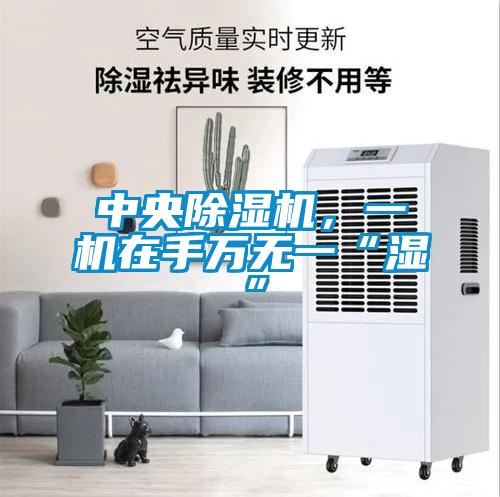 中央除濕機，一機在手萬無一“濕”