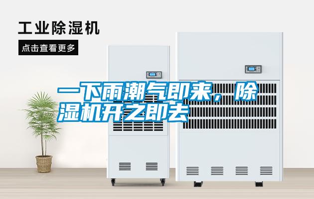 一下雨潮氣即來，除濕機開之即去