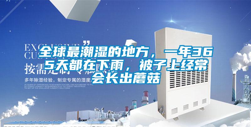 全球最潮濕的地方，一年365天都在下雨，被子上經(jīng)常會(huì)長(zhǎng)出蘑菇