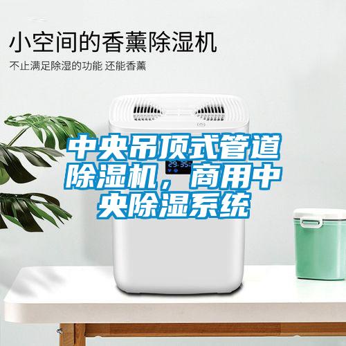 中央吊頂式管道除濕機，商用中央除濕系統