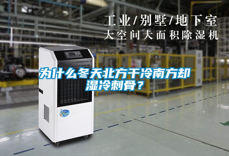 為什么冬天北方干冷南方卻濕冷刺骨？