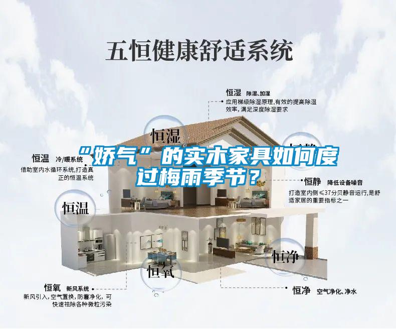 “嬌氣”的實(shí)木家具如何度過梅雨季節(jié)？