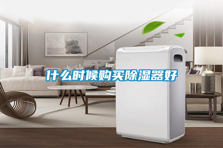 什么時(shí)候購(gòu)買(mǎi)除濕器好