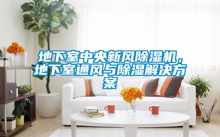 地下室中央新風(fēng)除濕機，地下室通風(fēng)與除濕解決方案