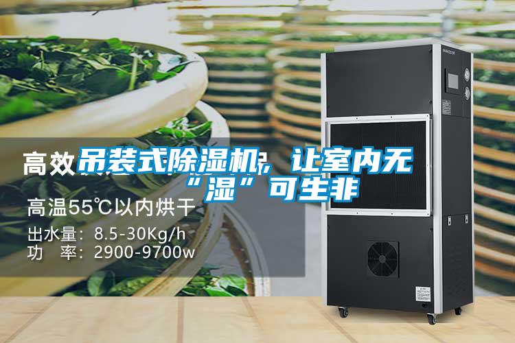 吊裝式除濕機，讓室內無“濕”可生非