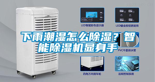下雨潮濕怎么除濕？智能除濕機顯身手