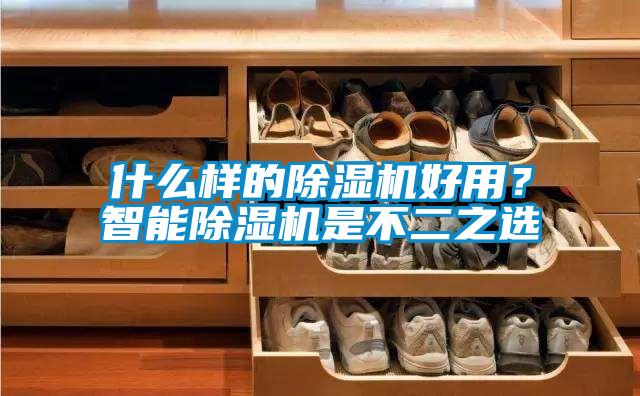 什么樣的除濕機(jī)好用？智能除濕機(jī)是不二之選