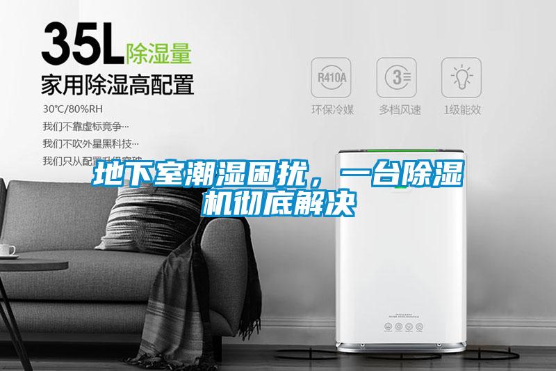 地下室潮濕困擾，一臺除濕機徹底解決