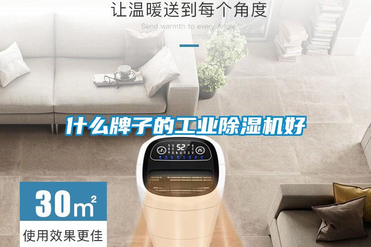 什么牌子的工業除濕機好