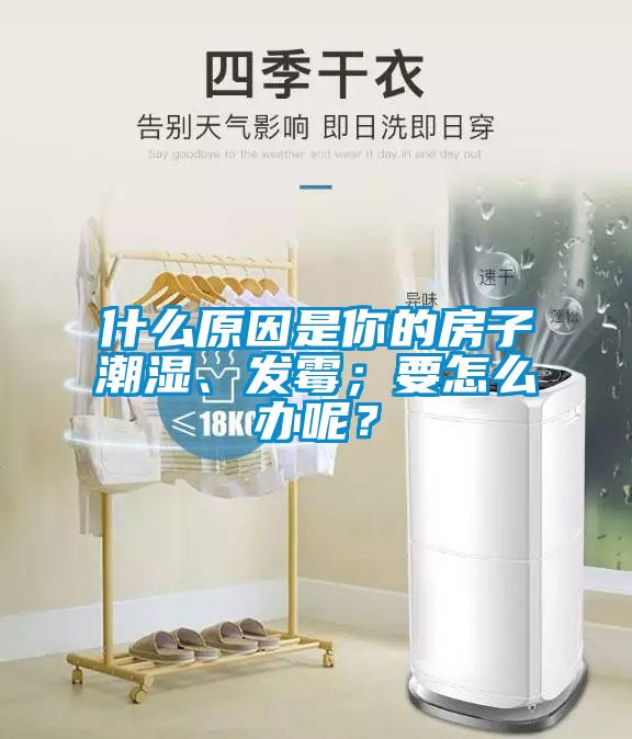 什么原因是你的房子潮濕、發(fā)霉；要怎么辦呢？