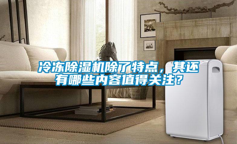 冷凍除濕機除了特點，其還有哪些內(nèi)容值得關(guān)注？