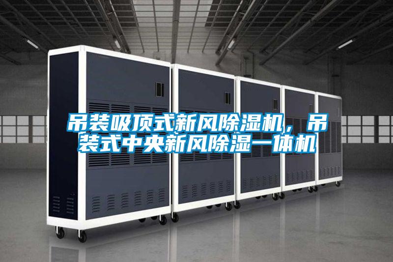 吊裝吸頂式新風除濕機，吊裝式中央新風除濕一體機