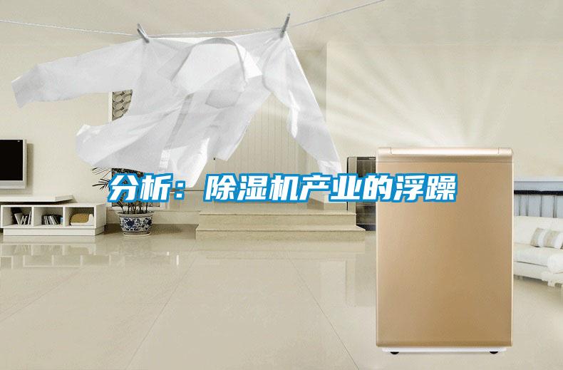 分析：除濕機產業(yè)的浮躁