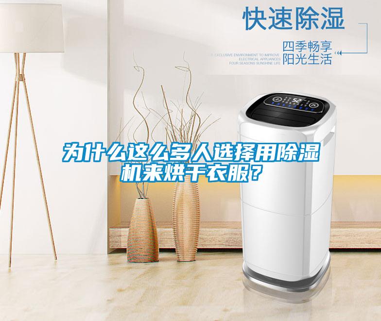 為什么這么多人選擇用除濕機來烘干衣服？