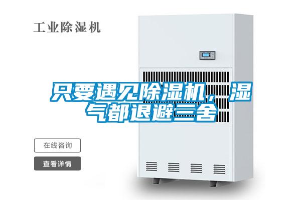 只要遇見除濕機，濕氣都退避三舍