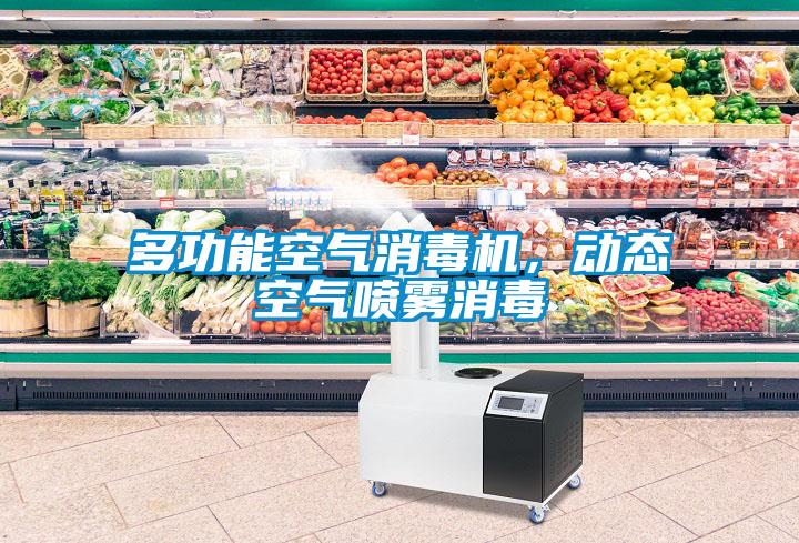 多功能空氣消毒機，動態(tài)空氣噴霧消毒