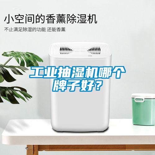 工業抽濕機哪個牌子好？