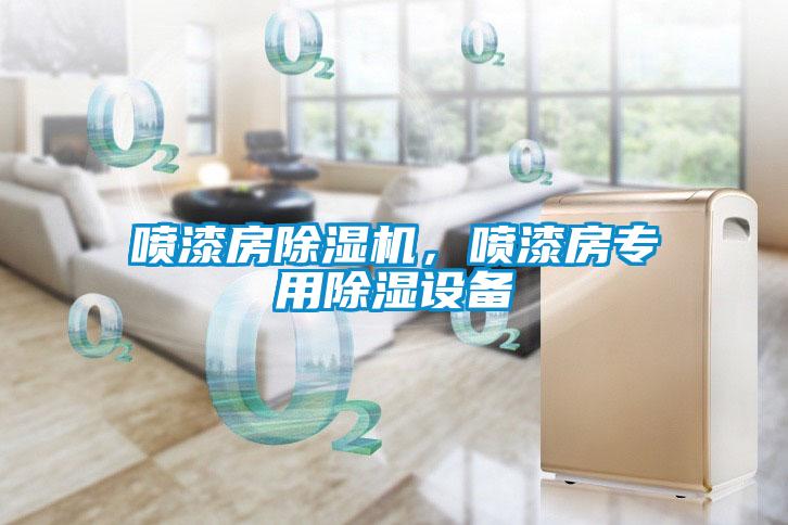 噴漆房除濕機(jī)，噴漆房專用除濕設(shè)備