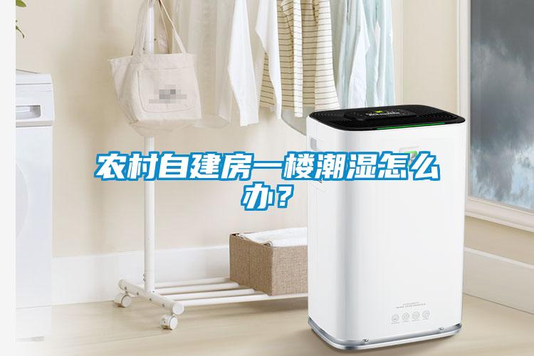 農村自建房一樓潮濕怎么辦？