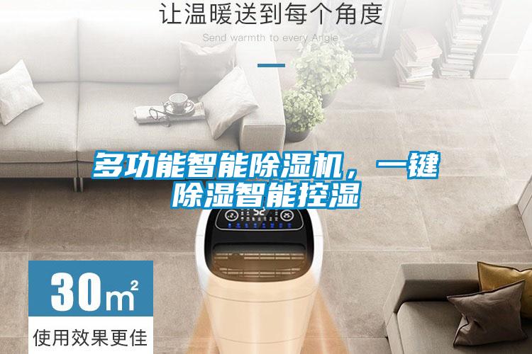 多功能智能除濕機，一鍵除濕智能控濕