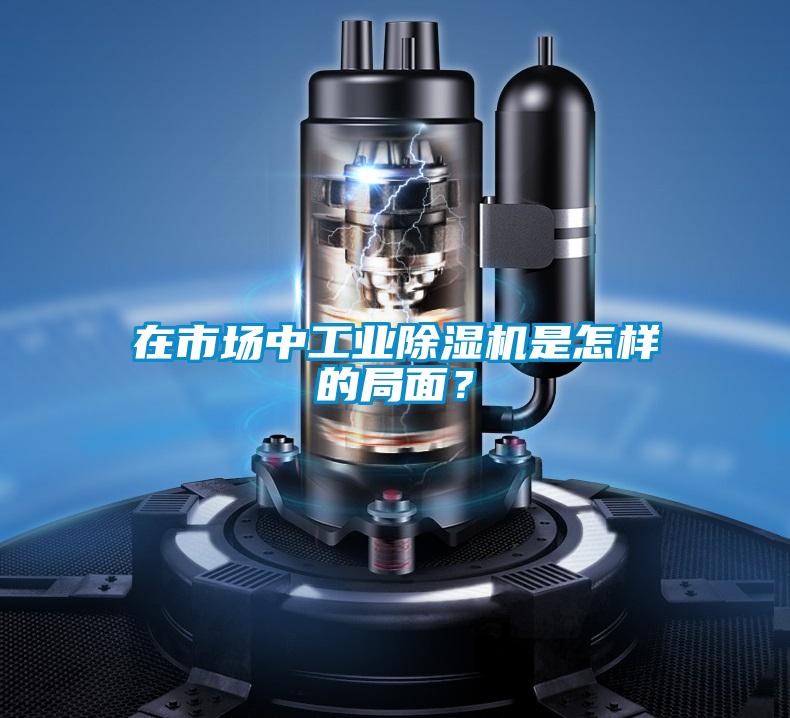 在市場中工業除濕機是怎樣的局面？