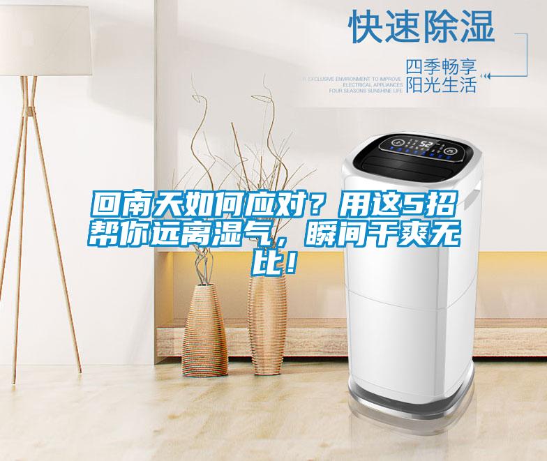 回南天如何應(yīng)對？用這5招幫你遠(yuǎn)離濕氣，瞬間干爽無比！