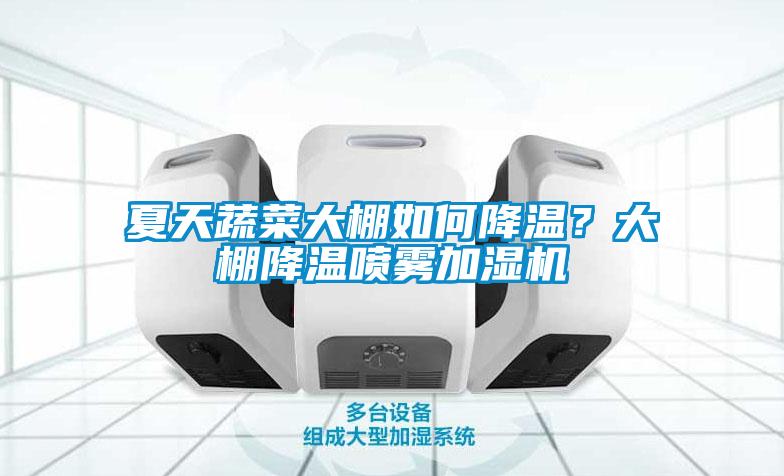 夏天蔬菜大棚如何降溫？大棚降溫噴霧加濕機