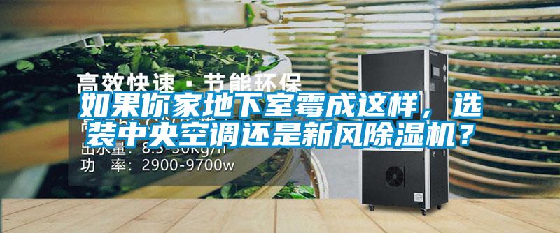 如果你家地下室霉成這樣，選裝中央空調還是新風除濕機？
