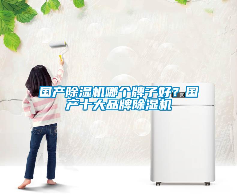 國產除濕機哪個牌子好？國產十大品牌除濕機