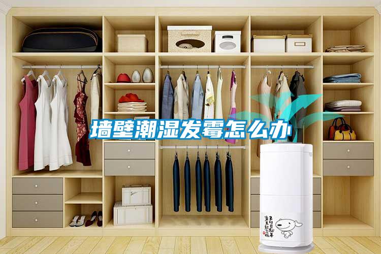 墻壁潮濕發霉怎么辦