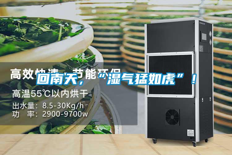 回南天，“濕氣猛如虎”！
