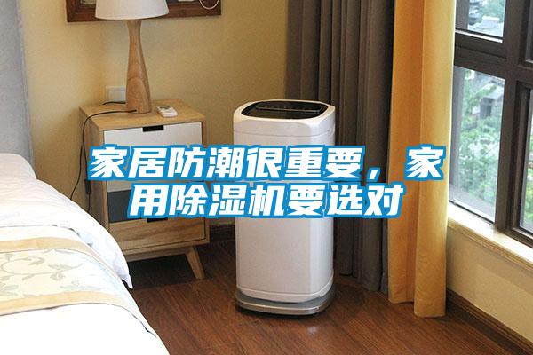 家居防潮很重要，家用除濕機要選對