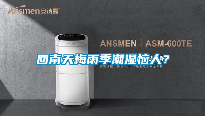 回南天梅雨季潮濕惱人？
