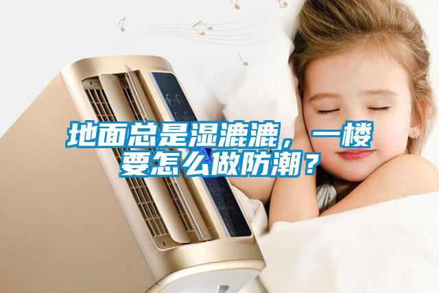 地面總是濕漉漉，一樓要怎么做防潮？