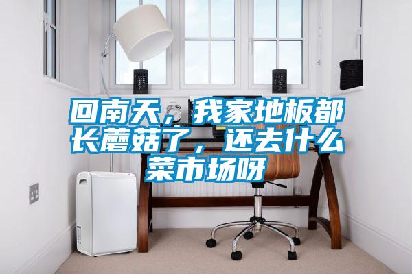 回南天，我家地板都長蘑菇了，還去什么菜市場呀