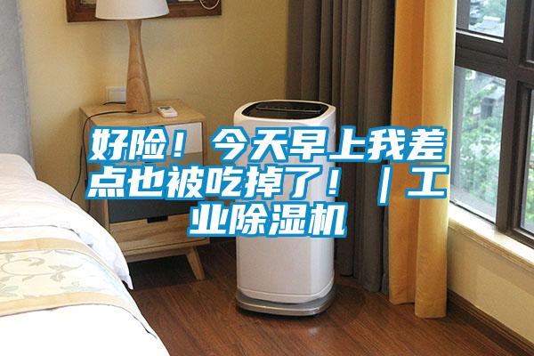 好險！今天早上我差點也被吃掉了！｜工業除濕機