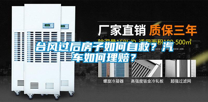 臺風過后房子如何自救？汽車如何理賠？