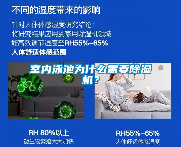 室內(nèi)泳池為什么需要除濕機？