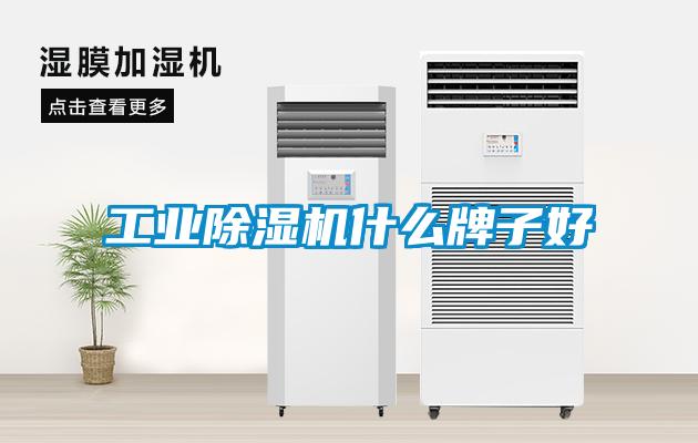 工業(yè)除濕機什么牌子好