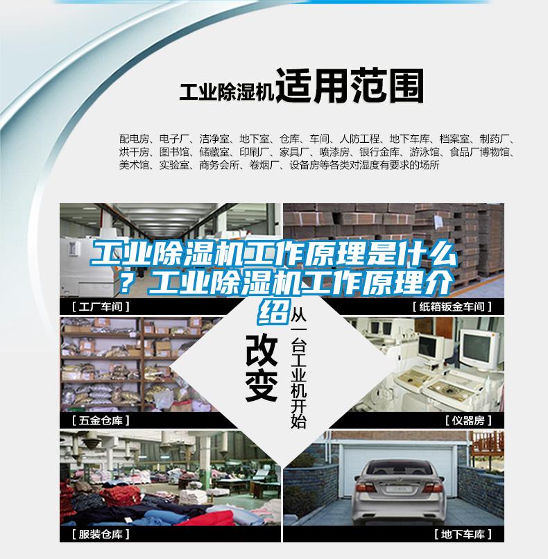 工業(yè)除濕機(jī)工作原理是什么 ？工業(yè)除濕機(jī)工作原理介紹
