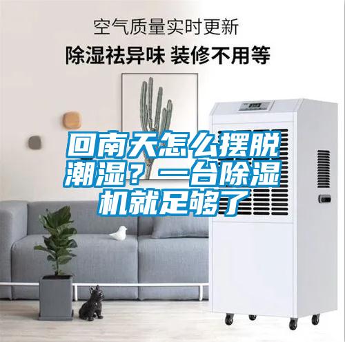 回南天怎么擺脫潮濕？一臺(tái)除濕機(jī)就足夠了