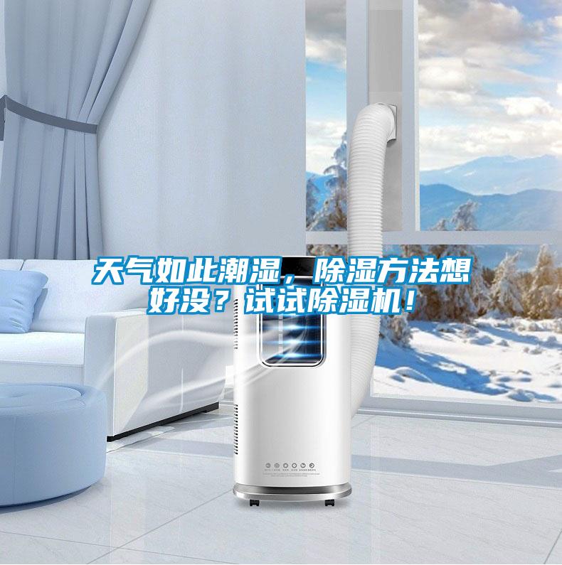 天氣如此潮濕，除濕方法想好沒(méi)？試試除濕機(jī)！