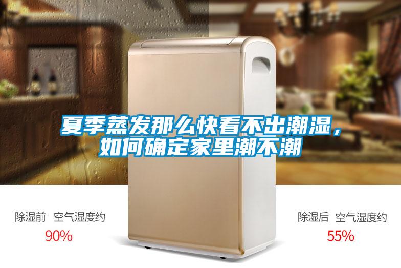 夏季蒸發那么快看不出潮濕，如何確定家里潮不潮