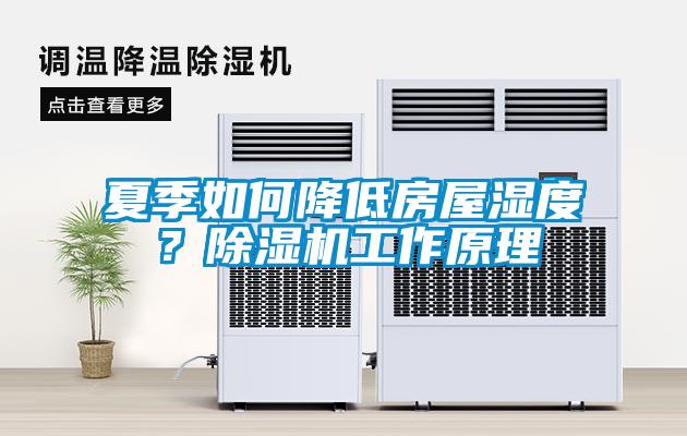 夏季如何降低房屋濕度？除濕機工作原理