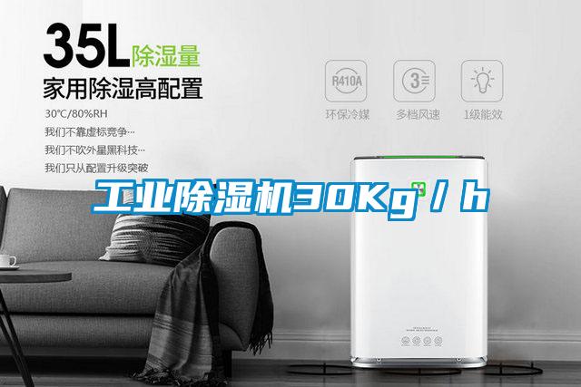 工業除濕機30Kg／h